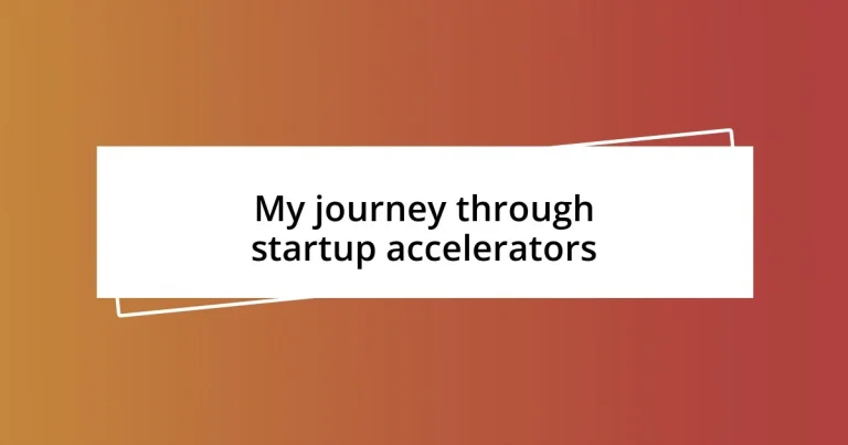 My journey through startup accelerators