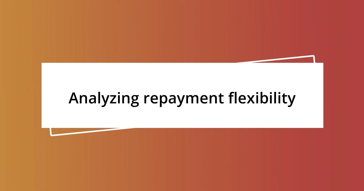 Analyzing repayment flexibility