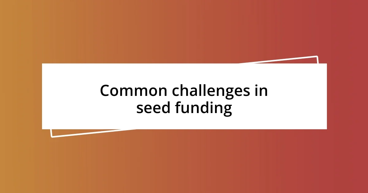 Common challenges in seed funding