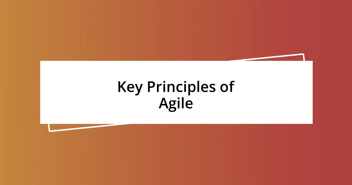 Key Principles of Agile